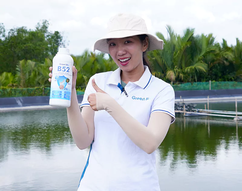 B52 hỗ trợ điều trị gan ruột cho tôm