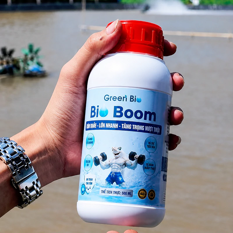 Bio Boom giúp tôm nhanh lớn