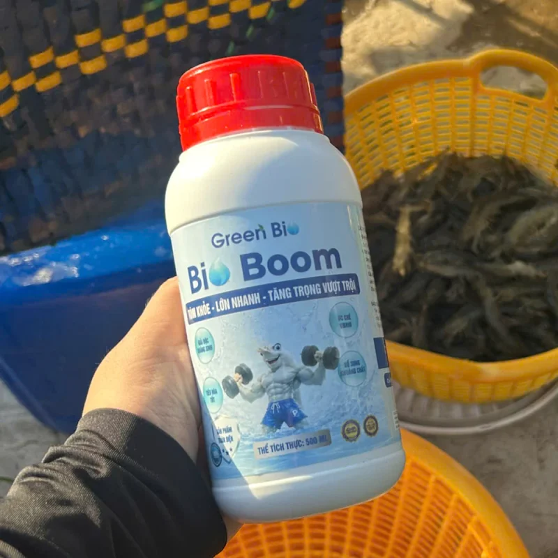 Bio Boom tăng trọng cho tôm