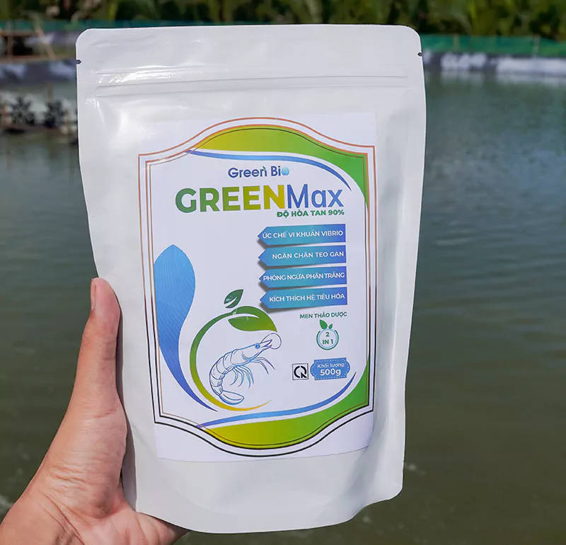 Sản phẩm Green Max giúp tái tạo tế bào gan