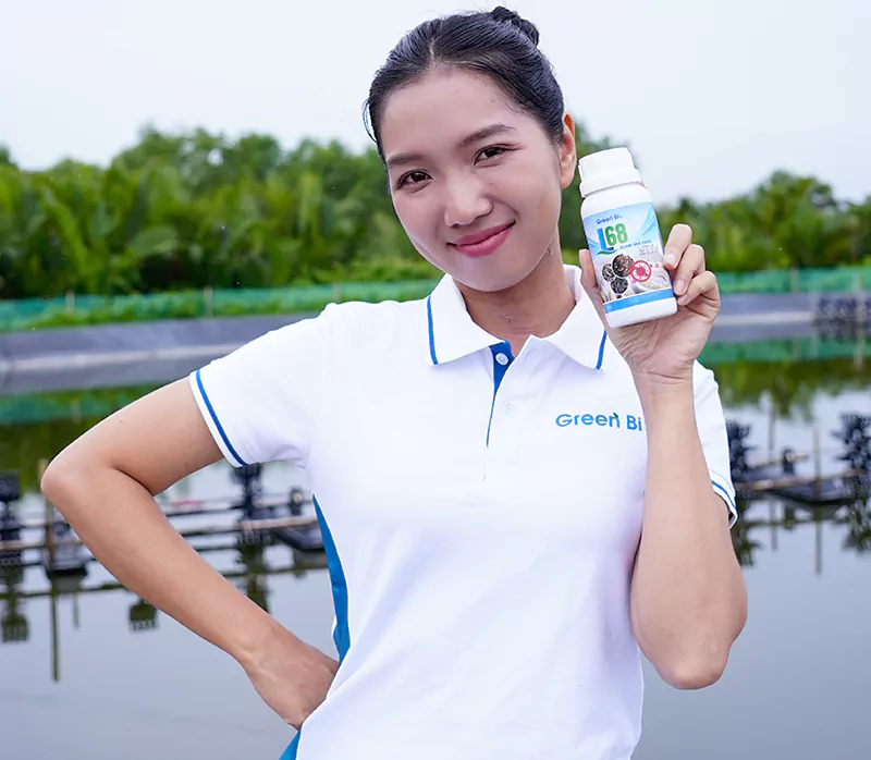 L68 đặc trị bệnh thối mang và viêm ruột trên cá chạch L68 đặc trị bệnh thối mang và viêm ruột trên cá chạch