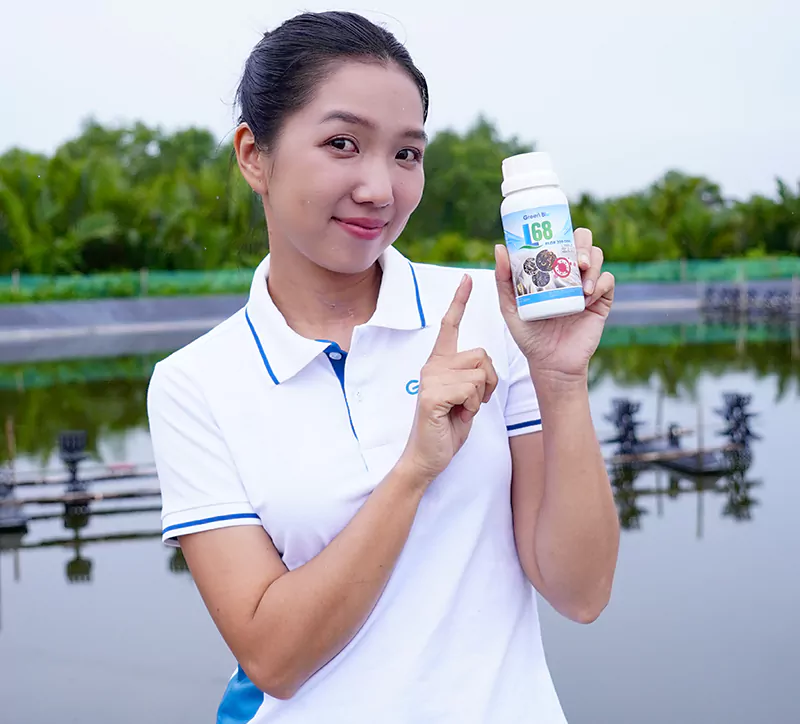 L68 đặc trị các bệnh nhiễm khuẩn trên lươn chạch L68 đặc trị các bệnh nhiễm khuẩn trên lươn chạch