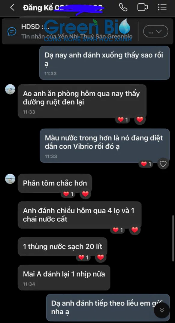 Feedback Phage Pro