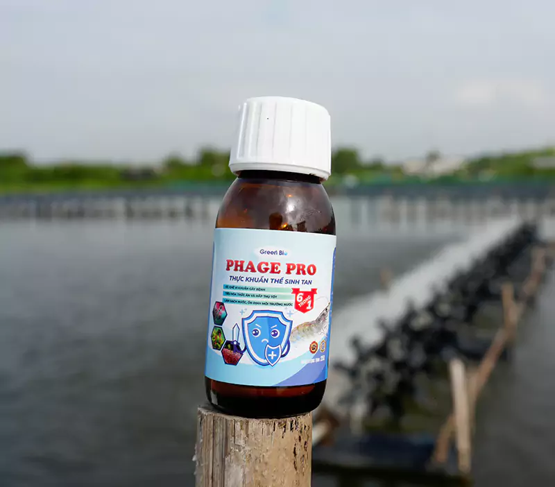 Phage Pro - Kiểm soát Vibrio
