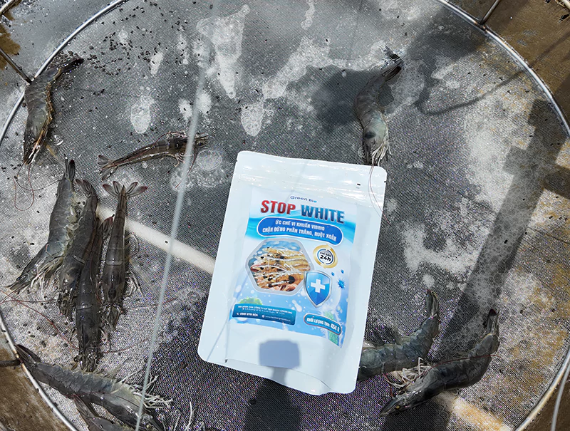 Stop White giúp tôm khỏe lớn nhanh